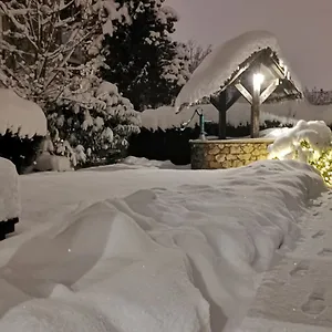 Hotel Petri, Munich